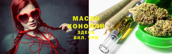 твердый Магас