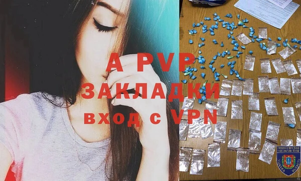 дживик Майский