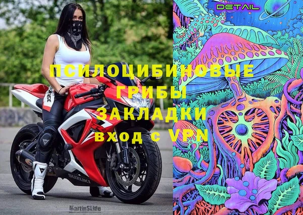 гашик Магадан