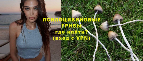 PSILOCYBIN Володарск