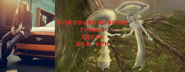 стафф Лихославль