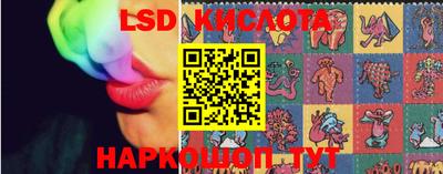 крисы Берёзовский