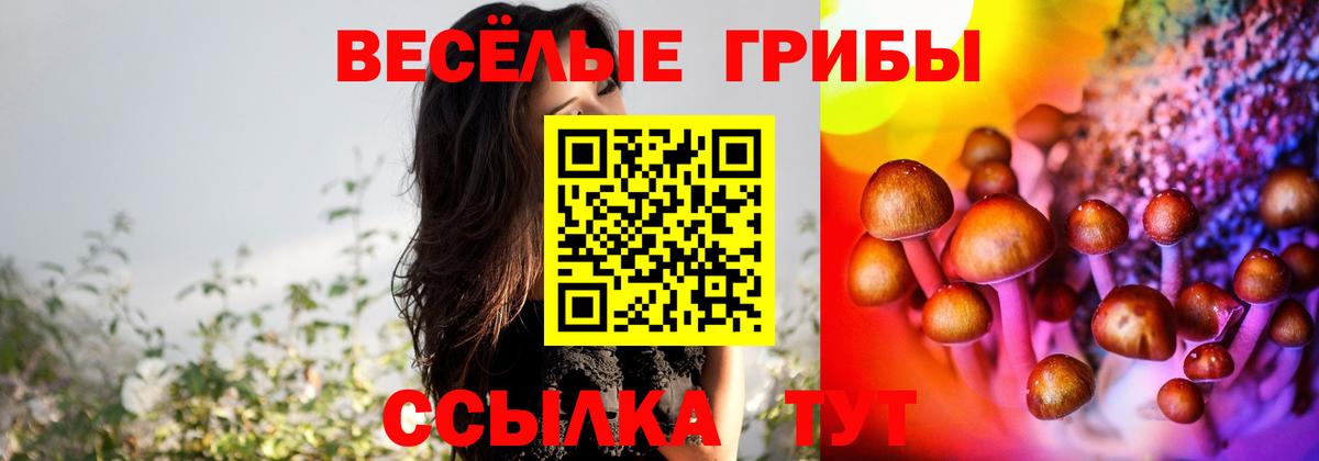 Псилоцибиновые грибы MAGIC MUSHROOMS  Вход с VPN  Елец  Псилоцибиновые грибы Psilocybine cubensis 