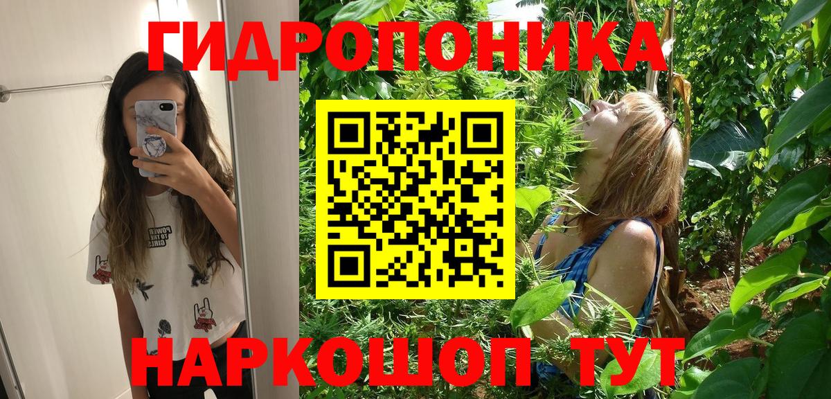 НБОМе Елец